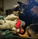 Profile Picture of Chris Parmelee (@chris.parmelee.37) on Facebook