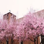 Profile Picture of Saint Joseph Catholic Church (@saintjoschurch) on Instagram