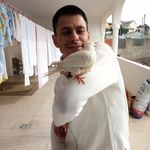 Profile Picture of Jose Roberto Piano Zanelato (@unicoroberto2) on Instagram