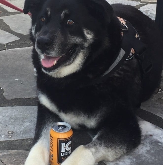 Profile Picture of Brian Syska (@briansyska) on Poshmark