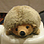 Profile Picture of Wing Mui (@winglmui) on Flickr