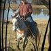 Profile Picture of bryan williams (@americancowpoke) on Pinterest