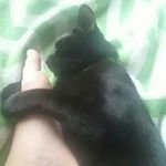 Profile Picture of Beki smith (@beki_smith147) on Instagram