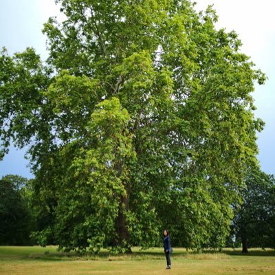 Profile Picture of Hayley Wong (@HayleyW10326609) on Twitter