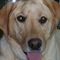Profile Picture of R. Patrick Gallagher (@r.patrick.gallagher.7) on Facebook