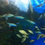 Profile Picture of Cassandra Jack (@kasandraj88) on Instagram