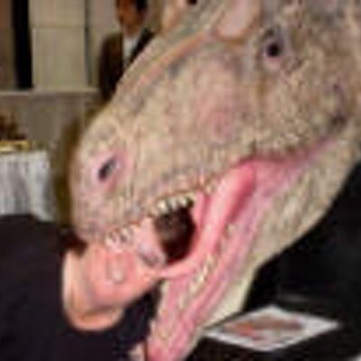 Profile Picture of Paula Large (@PaulaLarge) on Twitter