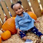 Profile Picture of Penelope Holmes (@pennynicoleholmes) on Instagram