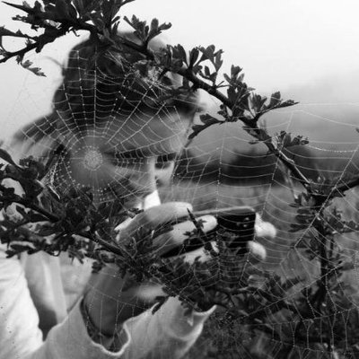 Profile Picture of Kate Davis (@katedavis1706) on Twitter