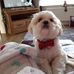 Profile Picture of Lorraine Beebe (@lorraine.beebe.79) on Facebook