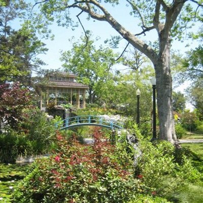 Profile Picture of Amy Augustine (@alms816) on Twitter