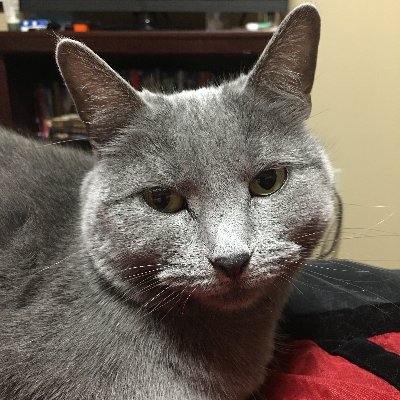 Profile Picture of Mandy (@mandy_dawn) on Twitter