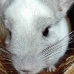 Profile Picture of Peter Lerch (@peter.lerch.14) on Instagram