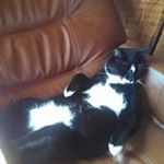 Profile Picture of Frances Rahel Fails (@francesfails) on Instagram