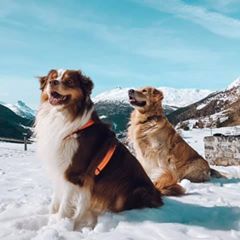 Profile Picture of Paffy Patrizia Fortu (@pattifort) on Tiktok