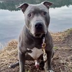 Profile Picture of Boss Kora (@Boss-Kora) on Facebook