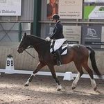 Profile Picture of Anne van der Steen (@anne.vd.steen) on Instagram