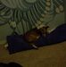 Profile Picture of Jack Shattuck (@jack.shattuck.12) on Facebook