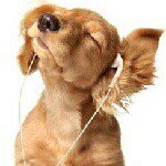 Profile Picture of Danyi Nóra (@danyinori) on Instagram