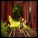 Profile Picture of Kirsten Schrull (@kschrull) on Pinterest