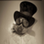 Profile Picture of Fernando Silva (@bizosilva) on Flickr