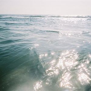 Travis Bassett - Myspace Profile Picture of Travis Bassett (@travisbassett1) on Myspace