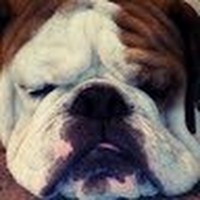 Profile Picture of Jamin Schneider (@jamin-schneider) on Quora