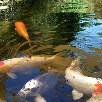 Profile Picture of John Sheldon (@JPSheldon) on Twitter