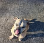 Profile Picture of Aaron Foster (@aaron.foster.901272) on Facebook