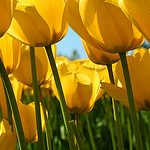 Profile Picture of Laida_ (@laida_) on Flickr