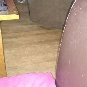 Profile Picture of Alice Bartleson (@alicebartleson) on Pinterest