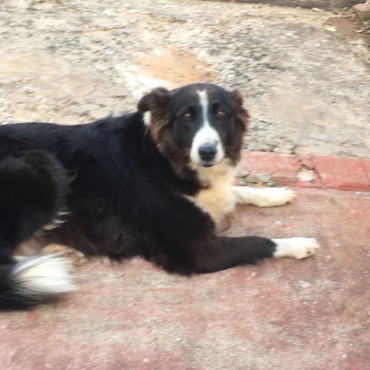 boder.colier - Tiktok Profile Picture of boder.colier (@boder.colier36) on Tiktok