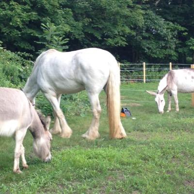 Profile Picture of Robin Plourde (@robynp2) on Twitter