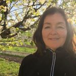 Profile Picture of Paula Morrison (@morrison8273) on Instagram