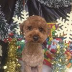 Profile Picture of Kevin Kato (@kato_kevin) on Instagram