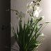 Profile Picture of Susan Cantor (@susan.cantor.50) on Facebook