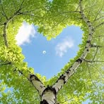 Profile Picture of Patricia Richard (@Patricia-Richard) on Facebook