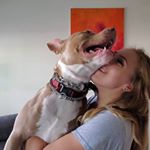 Profile Picture of Michelle Hardrath (@valkyriemk) on Instagram