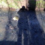 Profile Picture of Val Murray (@vmplace) on Instagram