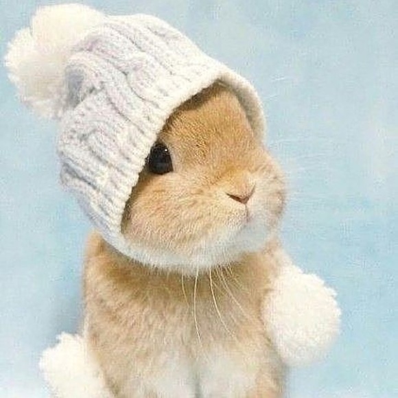 Profile Picture of Matthias Leung (@matthias47) on Poshmark