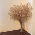 Profile Picture of 최혜진 (@hyeziin_) on Instagram