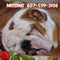 Profile Picture of Robin Harrington (@robin.harrington.35) on Facebook
