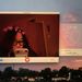 Profile Picture of Emily Harper (@emilysharper) on Pinterest