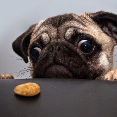 Dan Zilka - Twitter Profile Picture of Dan Zilka (@i_zilka) on Twitter