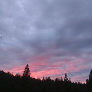 Profile Picture of Pat Bryson (@MrvibesPat) on Twitter