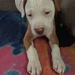 William Mcknight - Instagram Profile Picture of William Mcknight (@mcknight2781) on Instagram