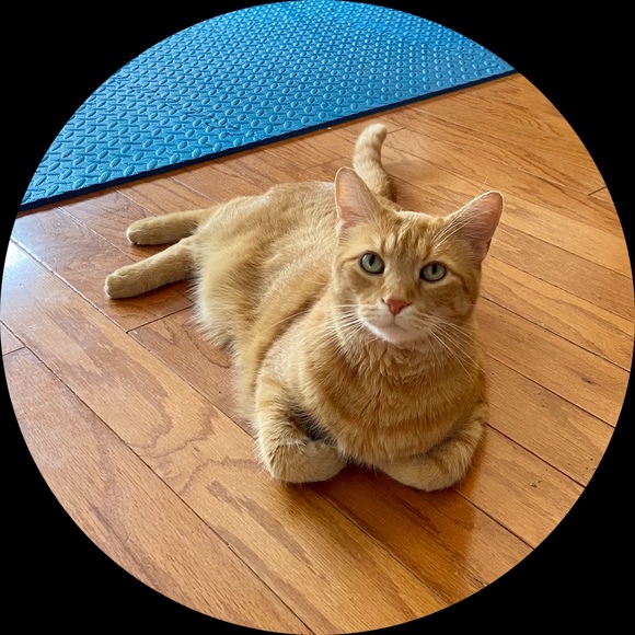 Profile Picture of Steve Cassity (@cassity14) on Poshmark