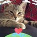 Profile Picture of Karen Maserjian (@karen.maserjian) on Facebook