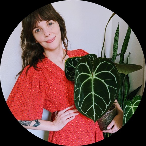 Profile Picture of Beth Buckley (@annabethbuckley) on Poshmark