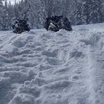 Profile Picture of Trent Petersen (@trent.petersen.81) on Instagram